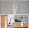 12 Pcs Birch Branch Decoration Decorative Dried Branches Natural for Vase Flower Vases Filler Stems and Small Leaf Indoor