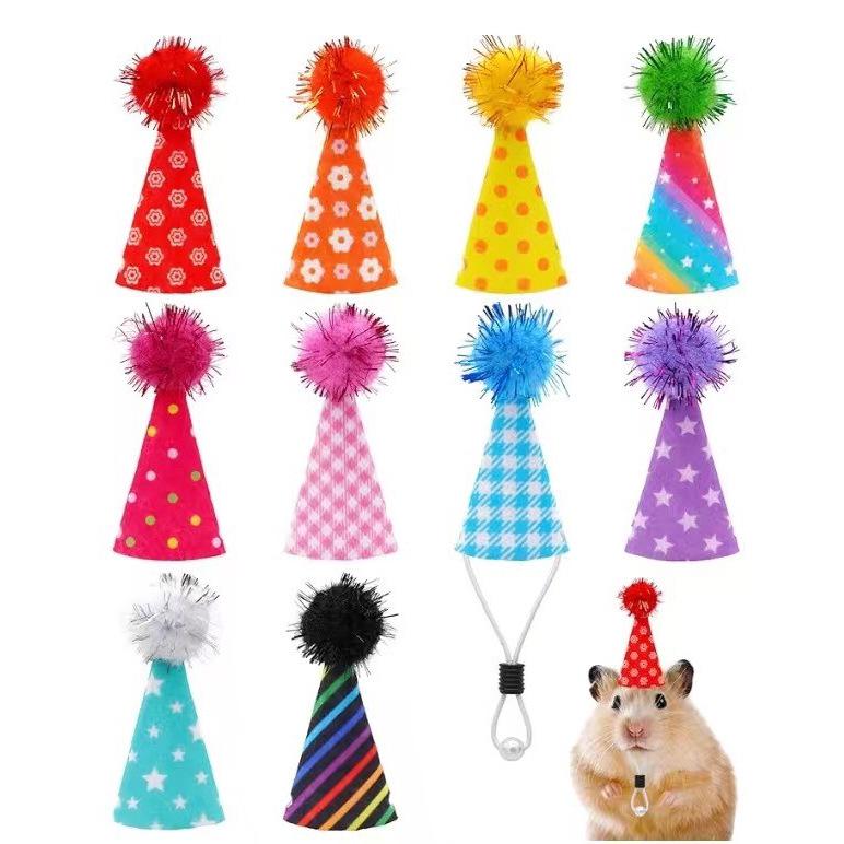 Mini Finger Pet Birthday Party Hat for Hamsters, Parrots, and Lizards