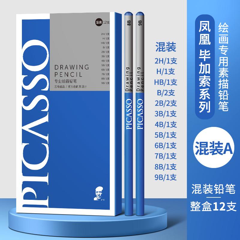 PHOENIX PICASSO Professional Sketching Pencils for Art Students Sketching Graphite Leads in 2B/8B/14B Grades Pull-out Design