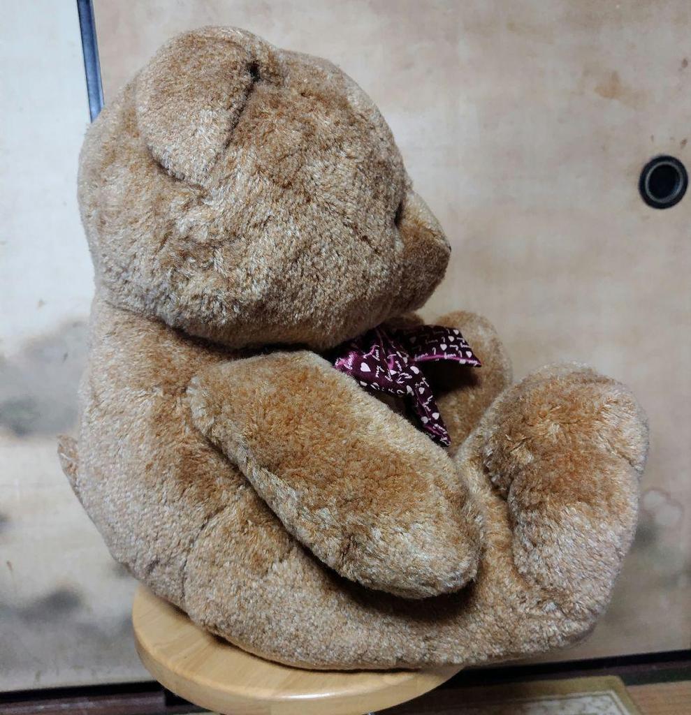 [USED] Teddy Bear Teddy Bear