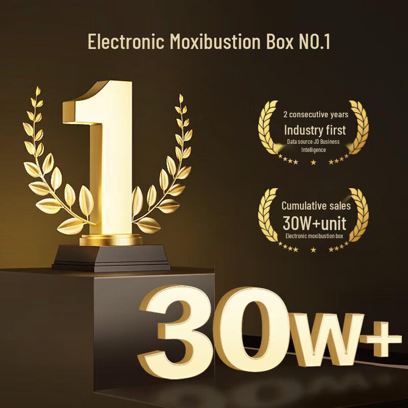 Breo Ginger Bamboo Portable Electronic Moxibustion Device