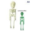 Poseable Skeleton Fridge Magnet 3D Printed Articulated Skeleton Decor Halloween Horror Luminous Skull Magnet Fridge Sticker