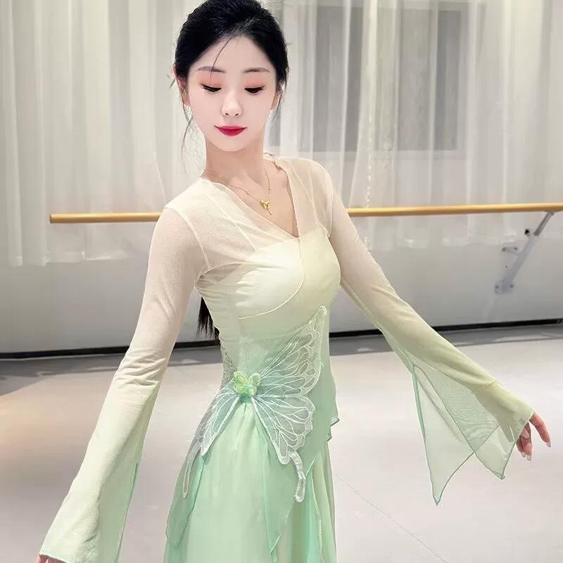 Women's Gradient Butterfly Chinese Classical Dance Set, Sheer Chiffon Tunic & Flowy Pants For Practice & Performance