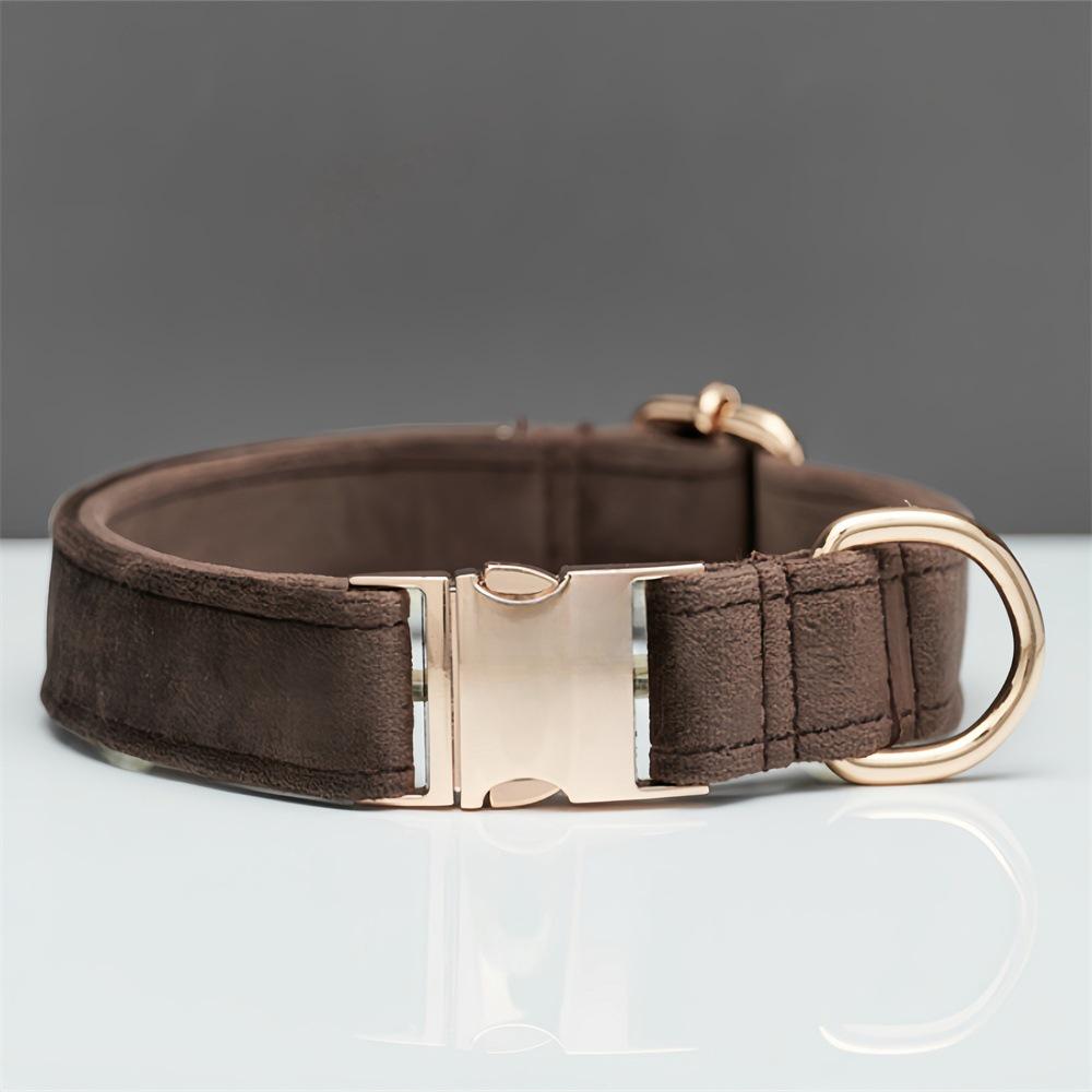 Ensemble collier et laisse pour chien en velours gravé avec boucle métallique réglable
