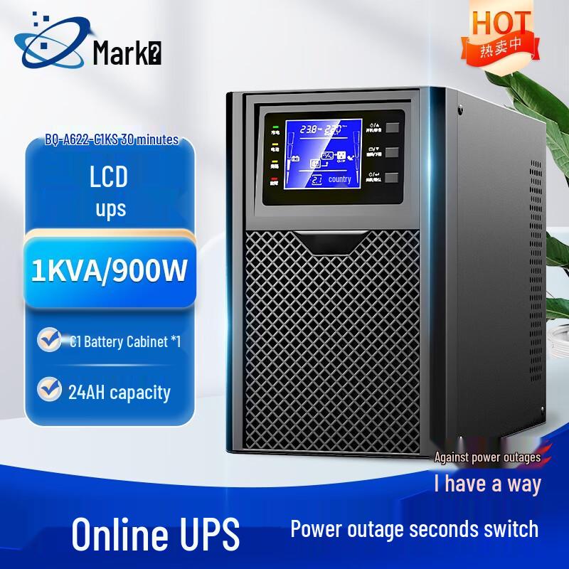 Biaoqi C1KS 1KVA 900W Online UPS
