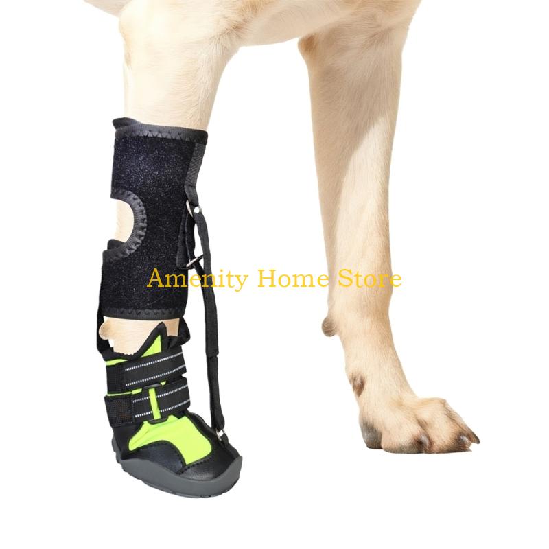 F26C Scarpe Correttive per Cani Ortesi per Piede Cadente con Bobina per Cane con Problema al Piede, Miglioramento dell'Andatura Senza Inginocchiamento Ortesi a Stivale