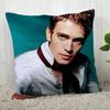 Hayden Christensen Pillow Cover Customize Pillowcase Modern Home Decorative Pillow Case For Living Room 04.01