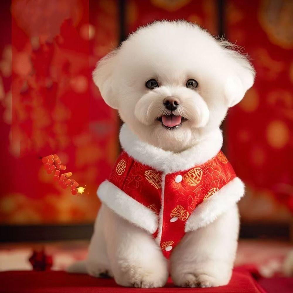 Fashion Chinese Style Cat Cotton Clothes Thickened Soft Dog Vest Coat Comfortable Warm Pet Tang Clothing New Year Celebration