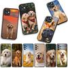 Phone Cover Cute Animal Golden Retriever Dog for Apple iPhone 17 16 11 Pro XS Max XR 6 7 8 Plus + 16E SE 2020 Air 5 8+ Case