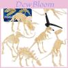 Realistic Archaeological Dinosaur Skeleton Model Diy Assembly Kit For Kids Toys