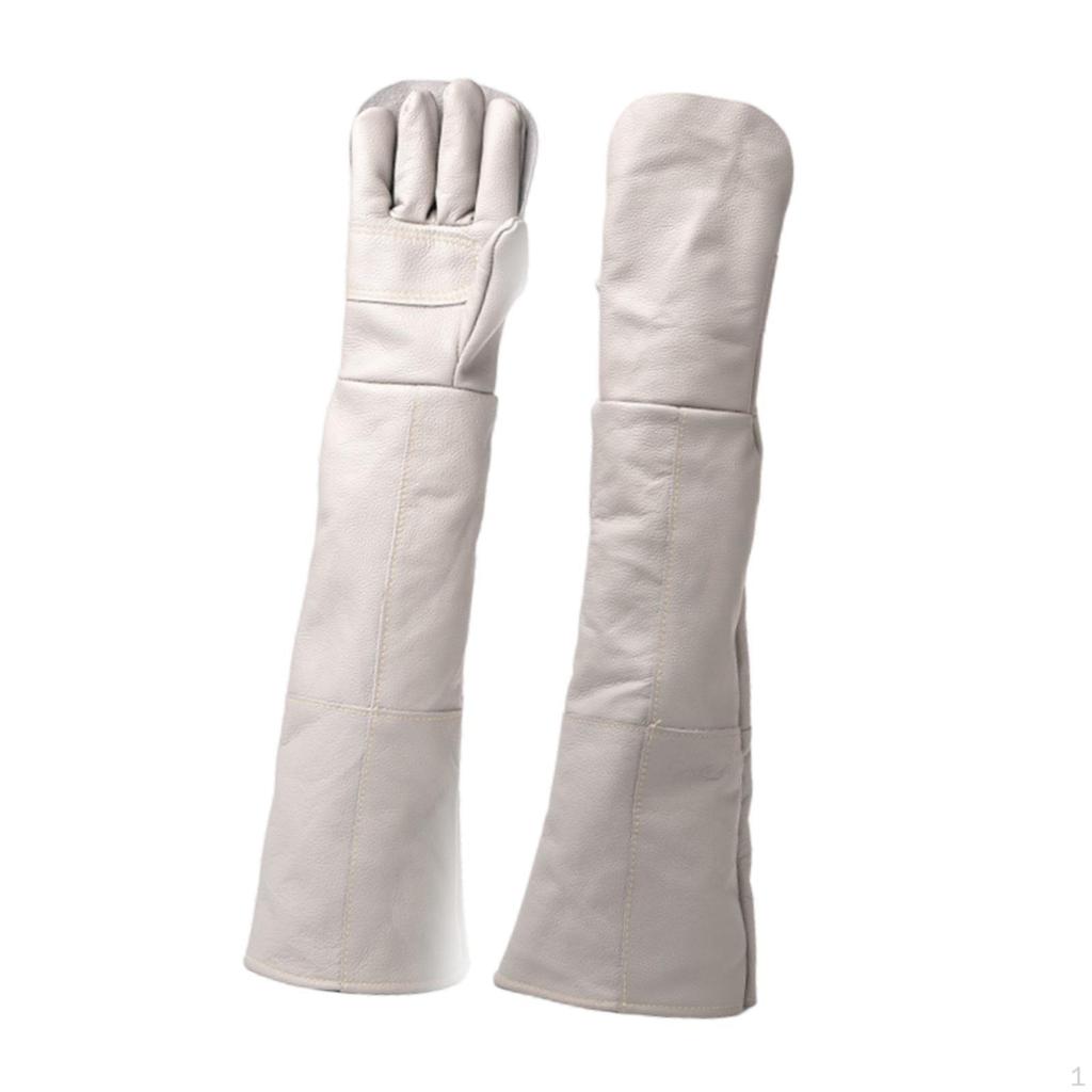 Animal Handling Gloves Full Protection Multipurpose Bird for Parrots Bite Resistant Dog