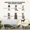Dog Bed for Dogs Up to 25 kg, Removable Cover, Non-Slip Feet, 90 x 78 x 25 cm, Gray