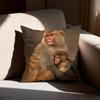 Funny Meme Monkey Cushion Cover Cute Monkey Emoji Throw Pillow Case For Living Room Sofa Prank Gift Home Decor Pillowcase 40X40