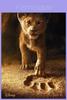 Decoração de casa – Posters e quadros
