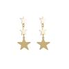 Trendy Frosted Sugar Color Star Alloy Earrings for Women