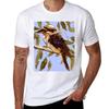 Kookaburra TShirt Quick Dry Travel TShirt