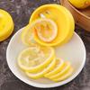 Household Manual Fruit And Vegetable Cucumber Rotating Fancy Cutter Spiral Lemon Slicer Vegetable Cutter