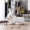 Creative Cartoon Animal Flower Pot Ceramic, Horticultural Desktop Succulent Flower Pot Hand-Painted