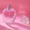 S Perfume Pink Encounter Modern Coco Ladies Lasting Fragrance Light Fragrance Spray