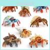 Realistic Pvc Hermit Crabs Model For Kids Learning And Marine Display Purposes