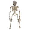 Learn Aid Art Sketch People Active Model Anatomy Skeleton Human Skeleton Model Car Decoration