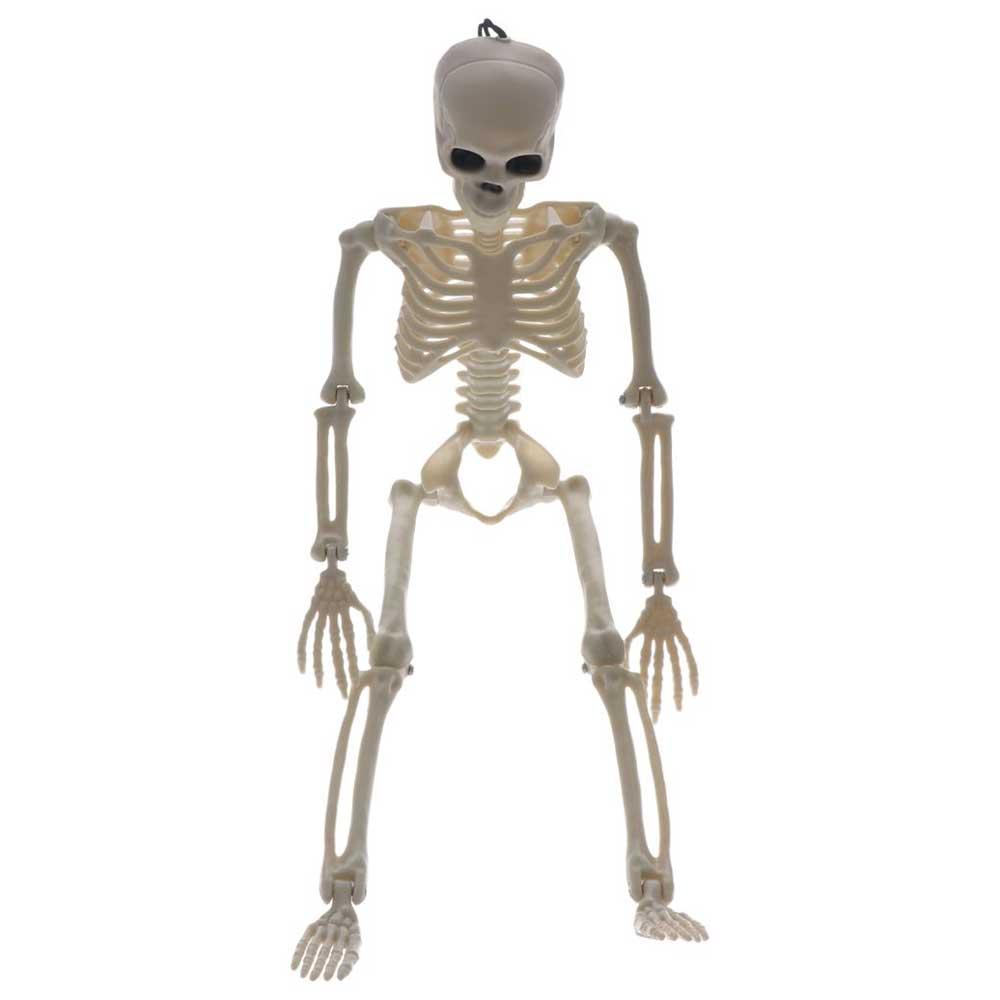Skeleton Learn Aid Anatomy Skeleton Car Decoration People Active Model Human Skeleton Model