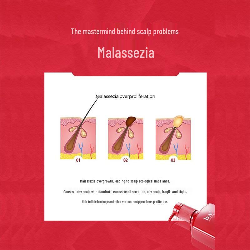 b2v Red Algae Anti-Dandruff & Anti-Itch Shampoo