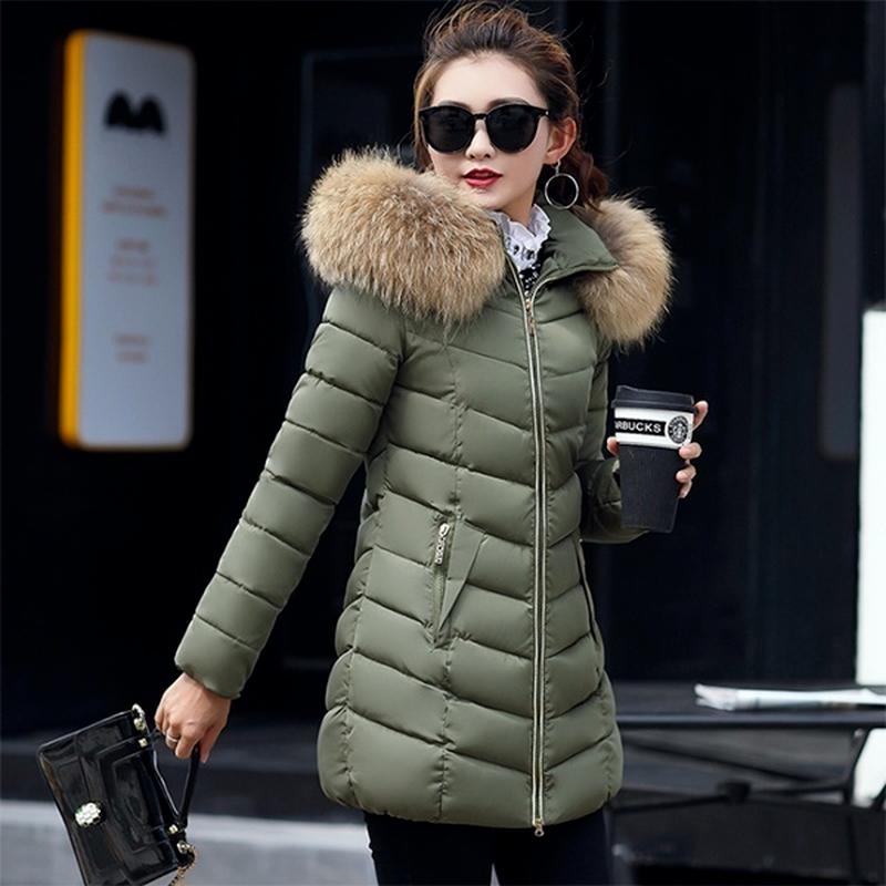 plus size jacket with fur collar
