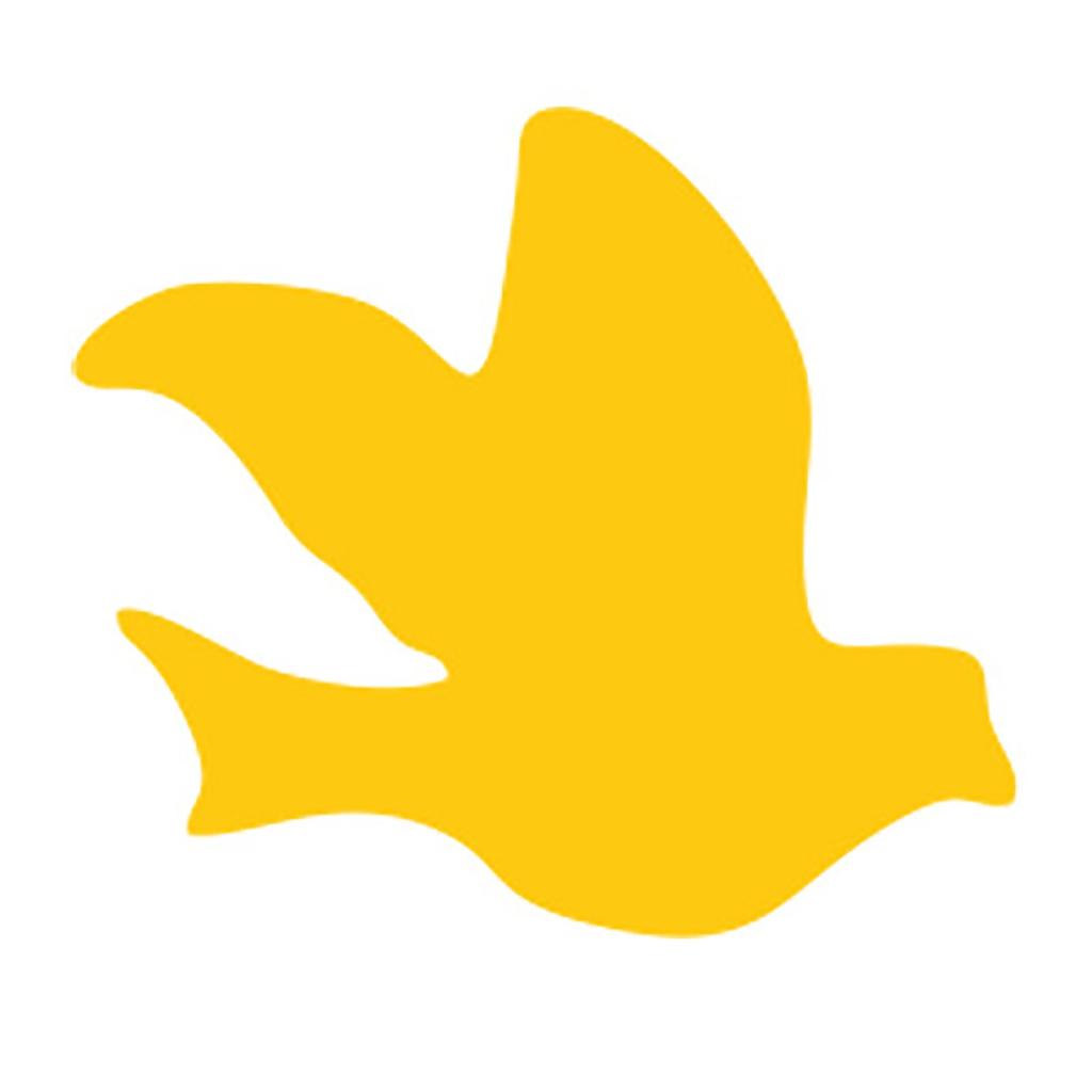 Klebrige Insektenfalle Insekt Doppelseitige Gelbe Tafel Insekt