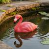 Buoyant Flamingo Decorative Statue Waterproof Pond Ornament for Landscape, Garden