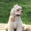 Puppy Straw Hat Outdoor Sunbonnet Costume Flower Hat Outdoor Lace Belt
