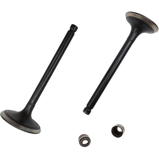 Intake & Exhaust Valve Kit for Hisun HS 500CC ATV/UTV - 1PC Each Replacement ERP Codes P002000147110000 & P002000147210000