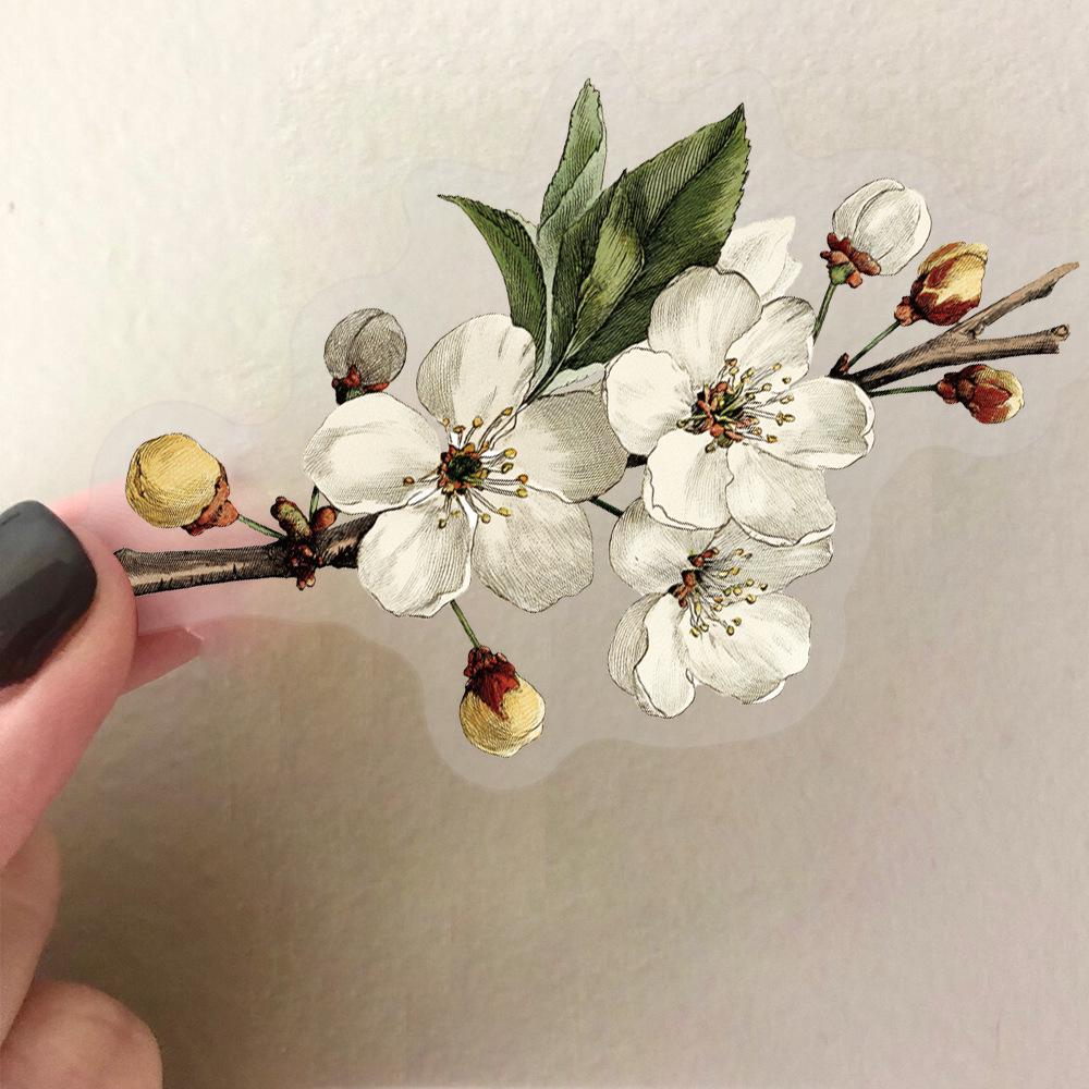 50 Retro Long Branch Flower Transparent PET Stickers - Double-Sided, Waterproof Decals for Journals, Phone Cases, and Computers. 50 Sheets.