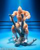 TAMASHII NATIONS Kinnikuman Perfect Superhuman Ancestor Arc 155mm PVC ABS Painted Movable Figure S.H.Figuarts - - Approx. &