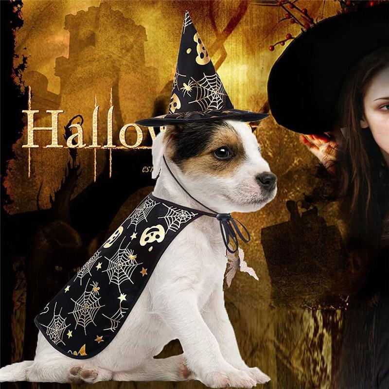 M-Modern-Halloween Cat Costume Pet  Cape And Hat Cool Outfit Pet  Cape Hat Cats Cosplay Clothes Apparel Halloween