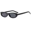 Protective Glasses Small Frame Sunglasses INS Women Cat Eye Sun Glasses New Classic Narrow Frame Retro Elliptical Eyeglasses
