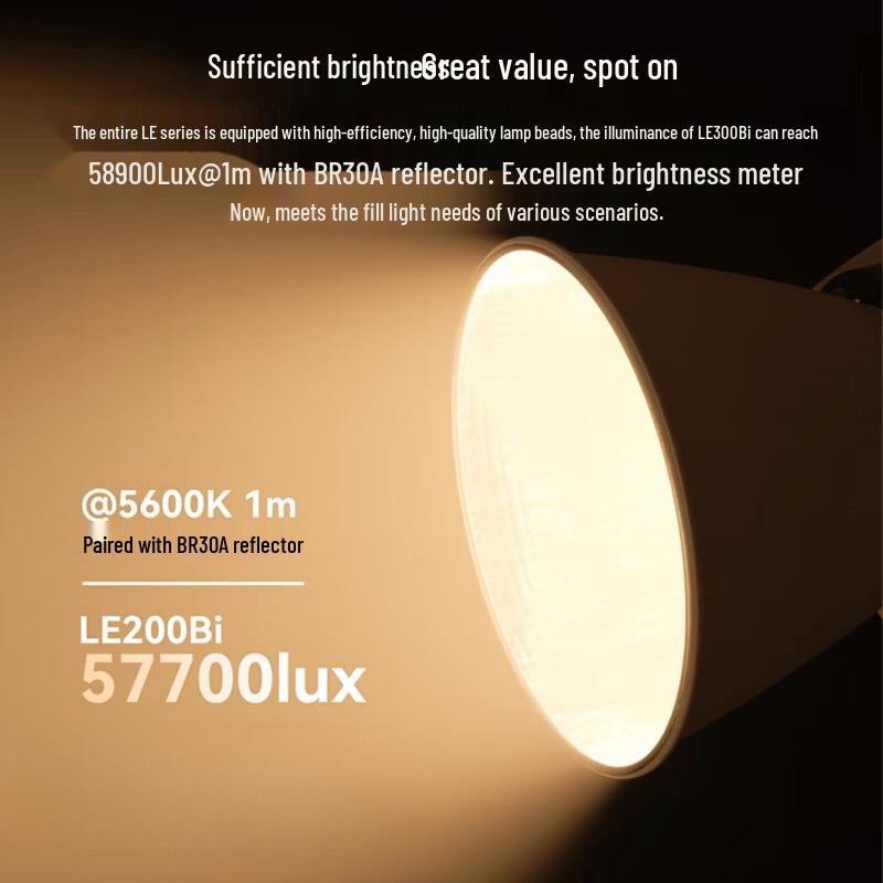 Godox LE200Bi Bi-Color LED Video Light