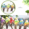 12Pcs Beautiful Colorful Simulation Foam Bird Decor Garden Plants Decoration Ornament