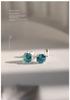 Paraiba Natural Aquamarine Ice Flower Cut Earrings, Women's S925 Sterling Silver Studs with Colored Gem Crystals