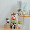 Cute Ceramics Animal Shaped Plant Pots Cartoon Succulent Flower Pots Garden Ornaments