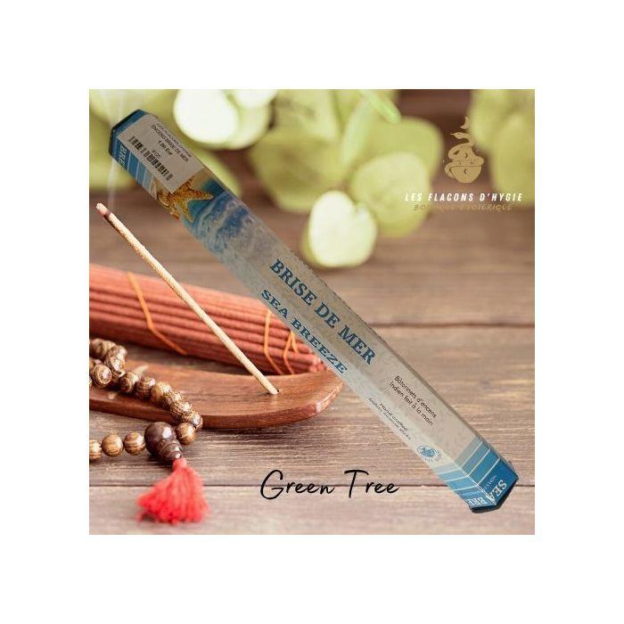 Bougeoir - Photophore - Bougie - Senteur > Encens - Encens Green Tree Brise De Mer - - Green Tree