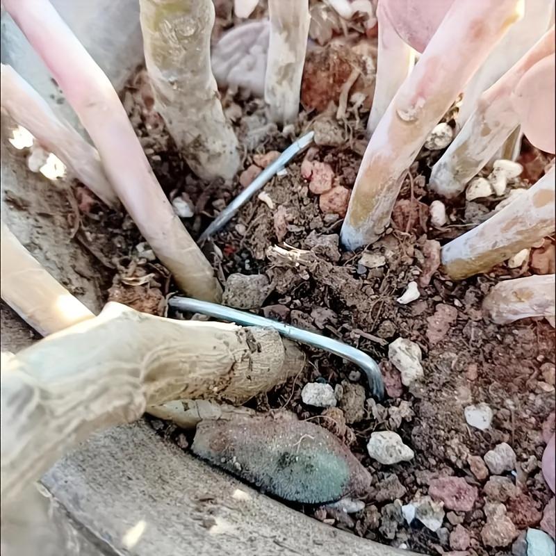 15/25/50 pièces Épingles de Paysage de Jardin Galvanisées en Forme de U pour Support de Plantes Sécurité et Protection des Fleurs