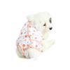 Breathable Anti-Licking Surgery Clothes for Female Cats - Thin, Post-Op, Weaning Wear