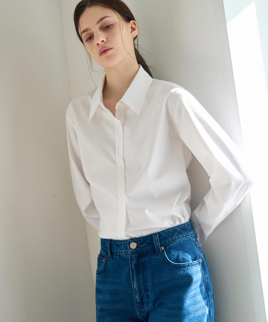 Deuloupisumeon Wrinkle-Free Slim Line Shirt [White]