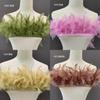 Multicolor Turkey Feather Fringe For Clothing Crafting Stage Show Decorations Diy Apparel