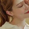 Teardrop Crystal Earrings (Silver 925) SHER0014