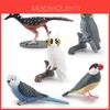Realistische Vogelmodelle Pvc Gartendekor Kollektion Mit Elster Papageien Und Eule Tierfiguren Für Landschaftsgestaltung Und Heimdekoration