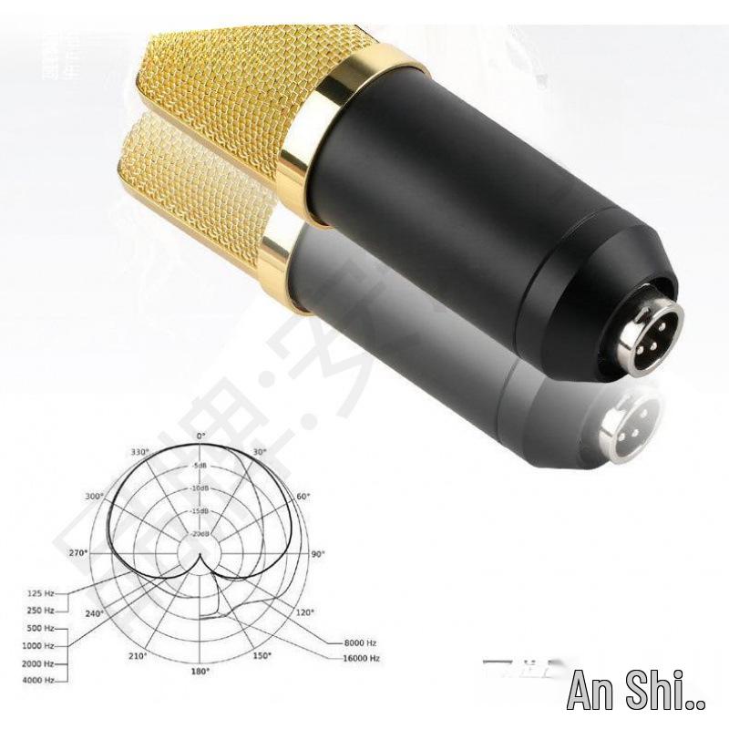 BM700 Large Diaphragm Condenser Microphone with External Sound Card for Computer Recording and MC Hosting