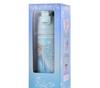 Disney Elsa Stainless Steel Bottle for Kids Japan NEW Disney Store