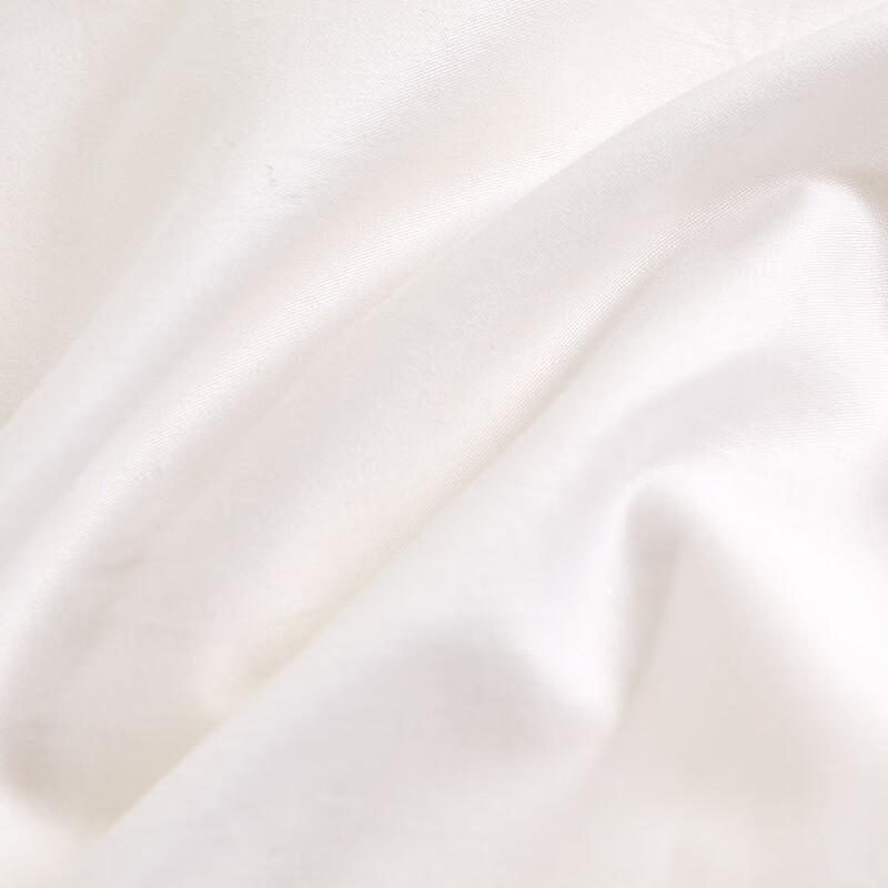 Jieliya White Goose Down Comforter